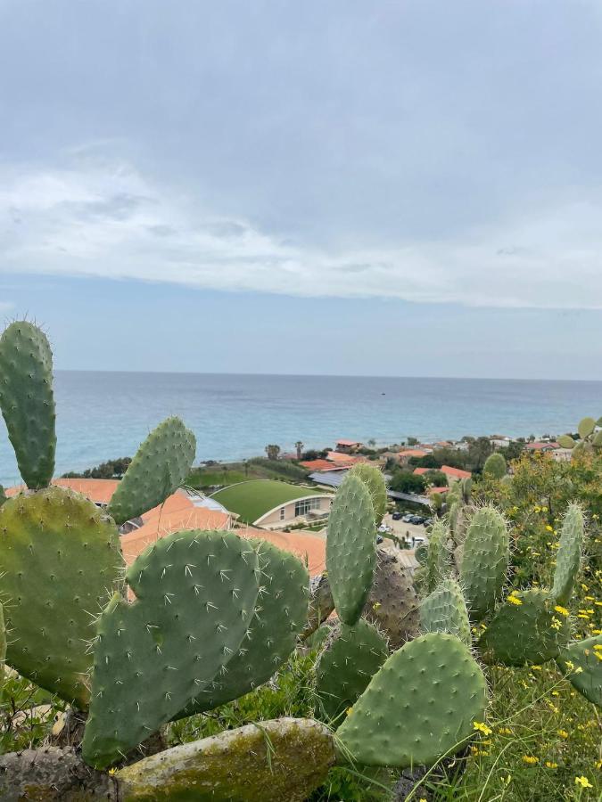 Villa Maria Elena Charme B&B Capo Vaticano Ngoại thất bức ảnh